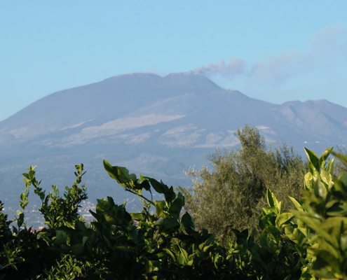 Azienda Agricola Siciliana