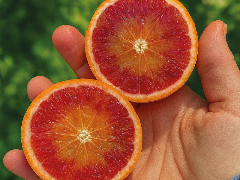 Un colore che nasce dalla natura